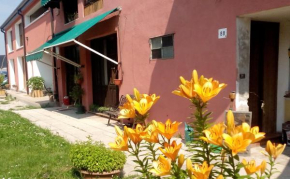 Ecogarden camping with rooms Zelarino